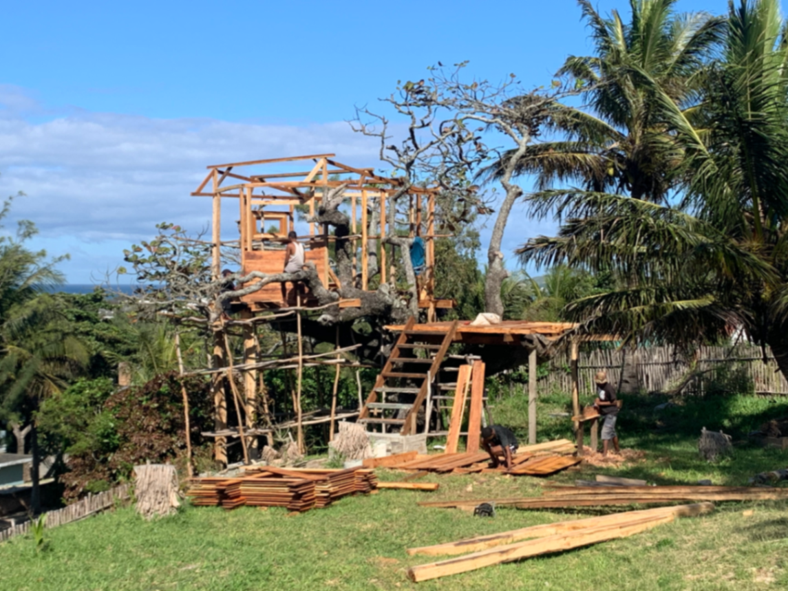 Montage de la tree house avec plateforme et ossature bois