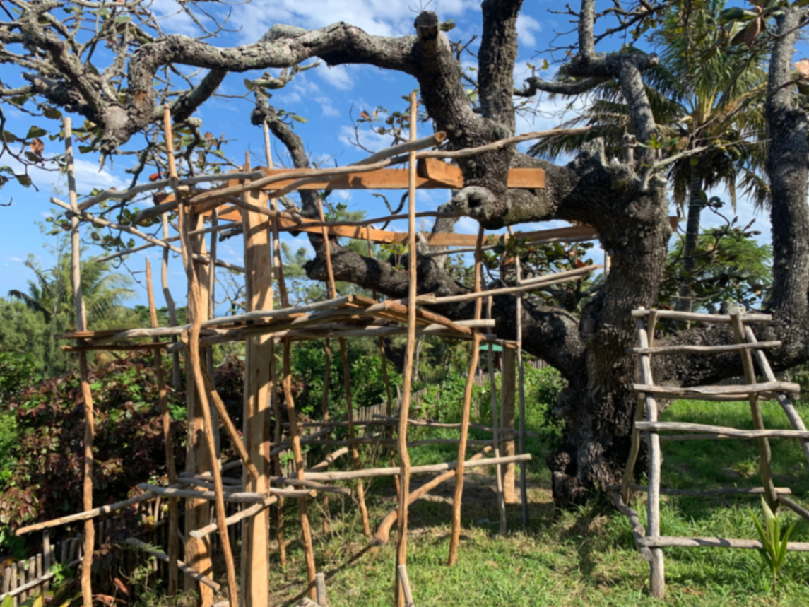 Début de la structure tree house autour du tronc
