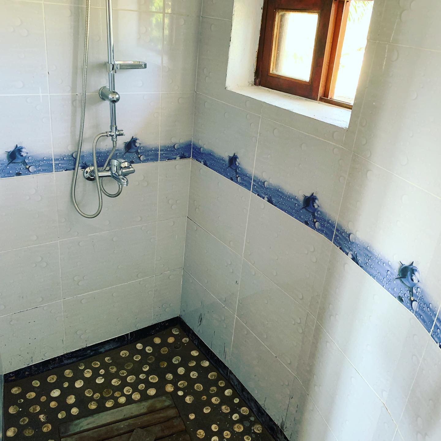 Douche carrelée avec ouverture naturelle