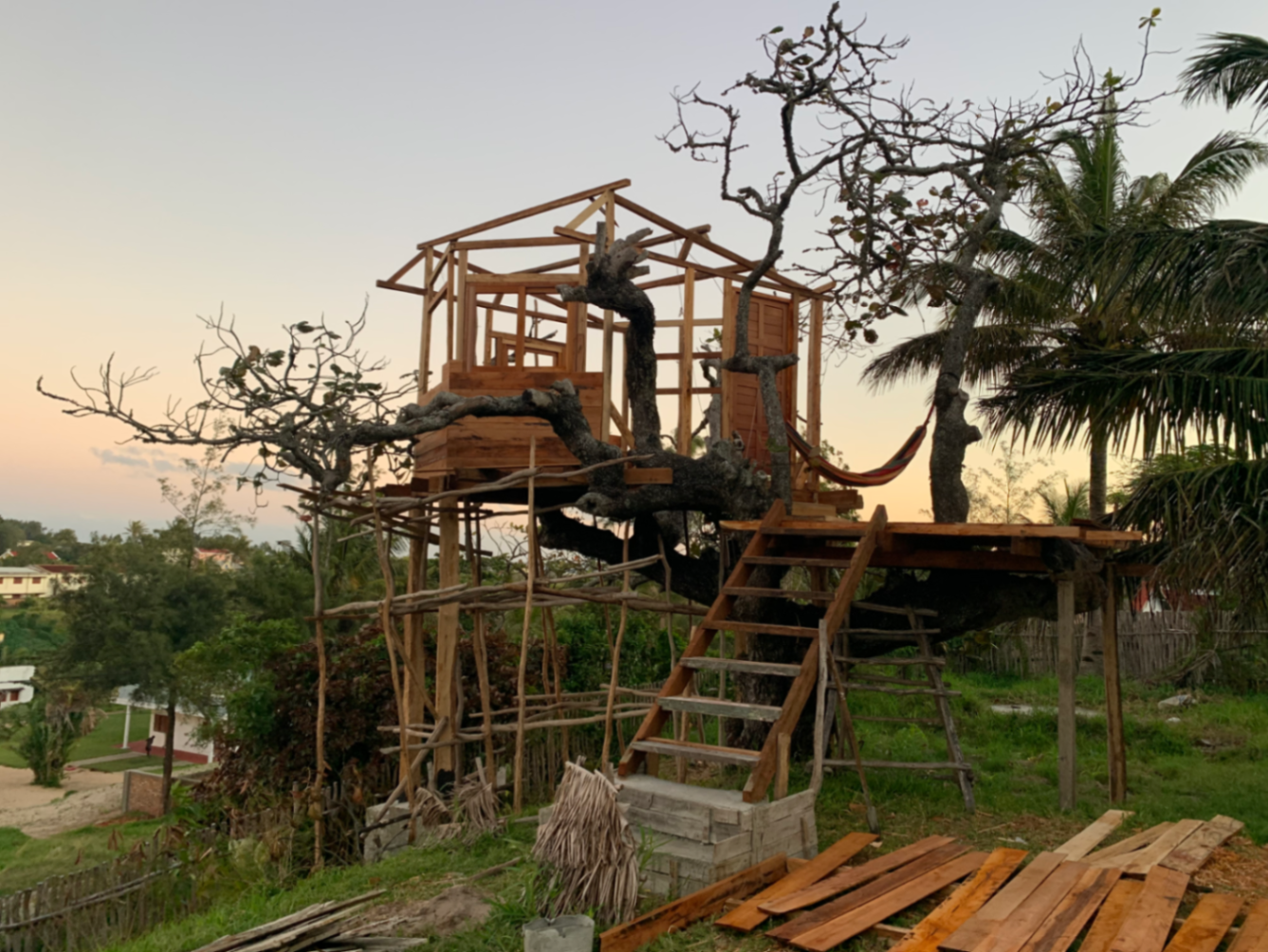 Ossature tree house au coucher du soleil