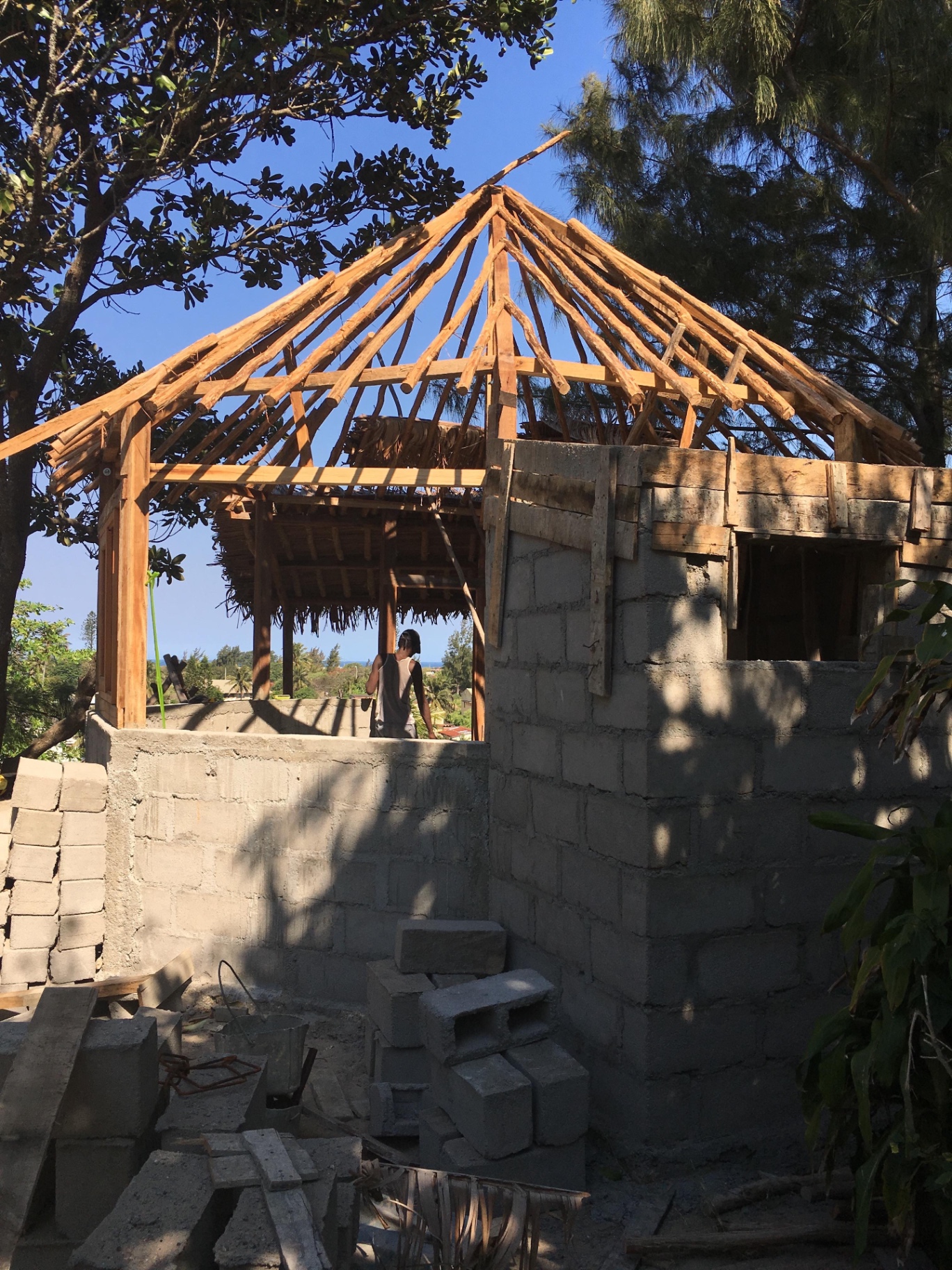 Ossature et toiture du bungalow mi-dur