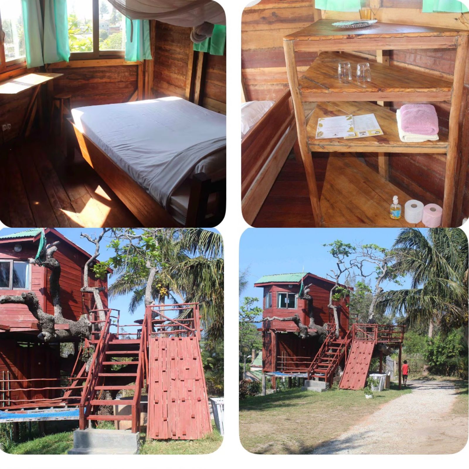 Robson's Treetop Haven